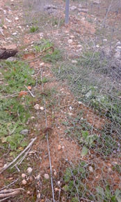 08. Malla Anticonejos